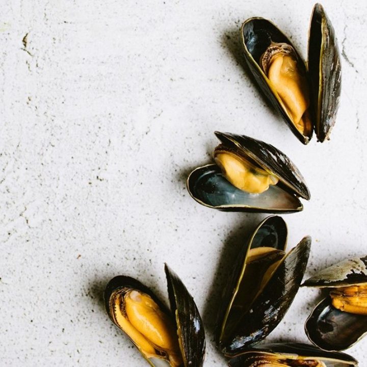 Mussels 1